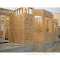 CFS Building Material Orient Standard Board (OSB)